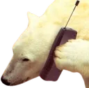 Call_ion Call_ion
