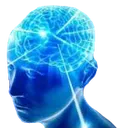 bigbrain bigbrain