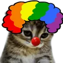 sadclowncat