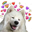 wholesome_dog Discord emoji