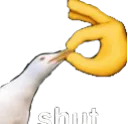 Shut