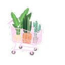 shopping