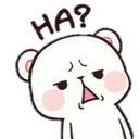 bearwhat