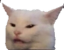 grumpycat Discord emoji