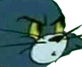 wtf Discord emoji