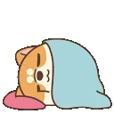 ShibiSleep