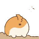 ShibiHide