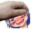 pet_the_tinker