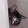 peekaboo