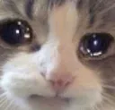 emoji_36