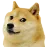 doggobruh