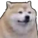 thiccboi