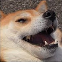 dogelaugh Discord emoji