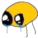 cri
