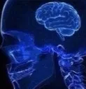 smallbrain