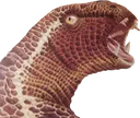 heteropog