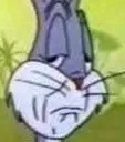 BUGS BUGS
