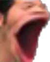 POG POG