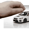 A10K_subiepet