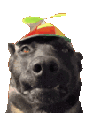 stwhelping_dogCap