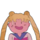 usagiderp usagiderp