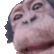 MonkeLick