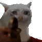 CatGun