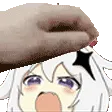 petPaimon petPaimon