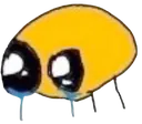 CrYe