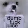 zDumbFuckJuice