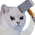 CATA