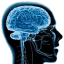 FI55_codm_inactivebrain