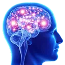 UR55_codm_activebrain