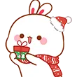 bunXmasgift