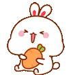 bunCute