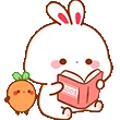 bunStudy2 bunStudy2