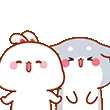 bunDogcute