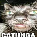 Catunga Discord Emoji