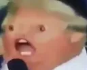TTN_pogtrump Discord Emoji