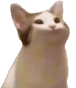 pogcat