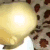 YA_LikeYaCutG Discord emoji