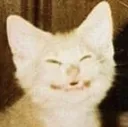 eeeeee
