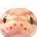 snake_stare