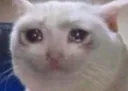 catcry