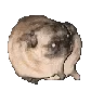 pugtwerk