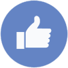 fbLIKE