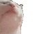 vibecat