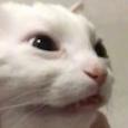 donotlike Discord emoji