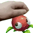 petpet petpet