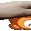widedartpet1